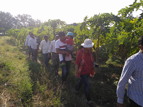 A long walk in the organic farm