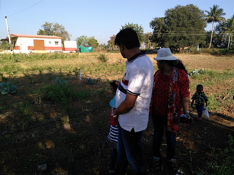 Mulling over the organic veggies