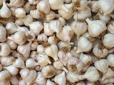 NaturePinks Organic Garlic - ready to pack