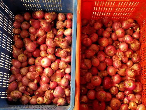 NaturePinks Organic Onion - ready to pack